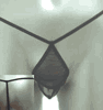 Bilde
