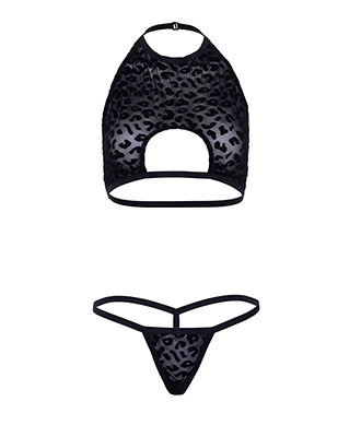 Leg Avenue - Velvet Leopard Sheer Crop Top og G-String
