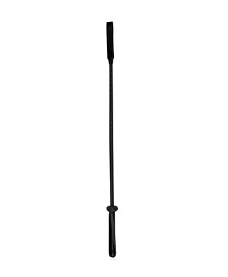 Whipped - Ray Ridepisk